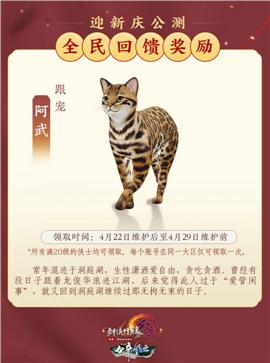 天龙八部私服的做法